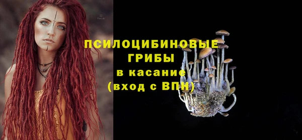 прущий лед Богородск